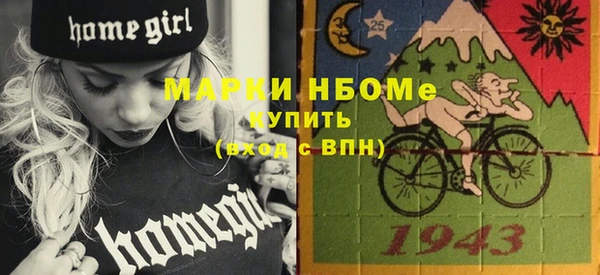 твердый Надым
