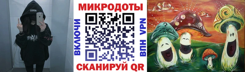 наркотики  Дубовка  Галлюциногенные грибы Psilocybe 